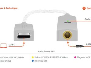 iFi Audio GO Link