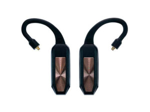 iFi Audio GO pod (standard)
