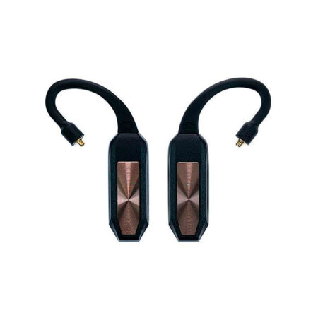 iFi Audio GO pod (standard)