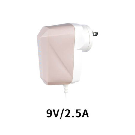 iFi Audio iPower X